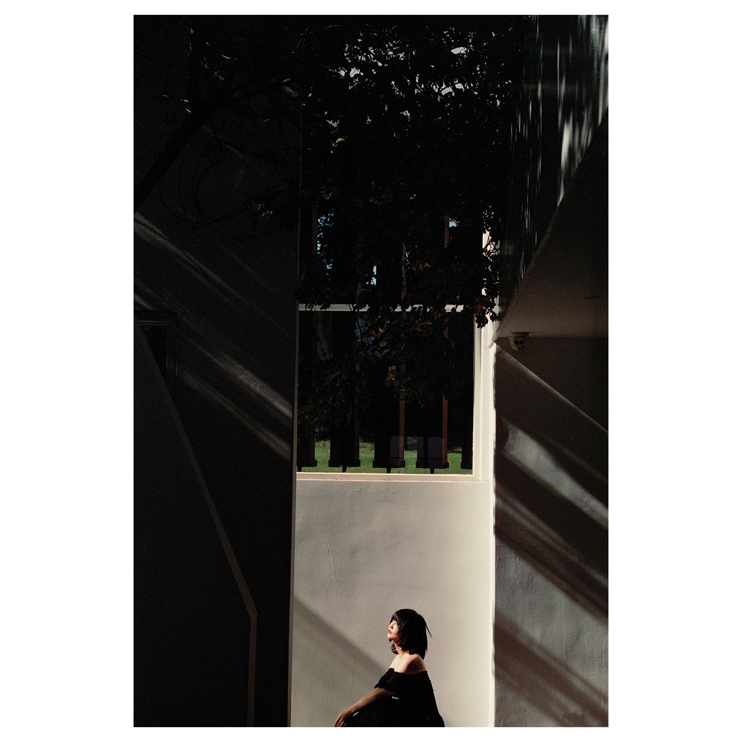 Light Lens Lab 75mm, Light Lens Lab 75mm f/2, Light Lens Lab SPII, Light Lens Lab 75mm f/2 SPII, Light Lens Lab 75 SPII. Light Lens Lab 75mm, 75mm lens, 75mm Leica, Leica M, Leica Camera, Leica lenses, Leica 75mm lenses.