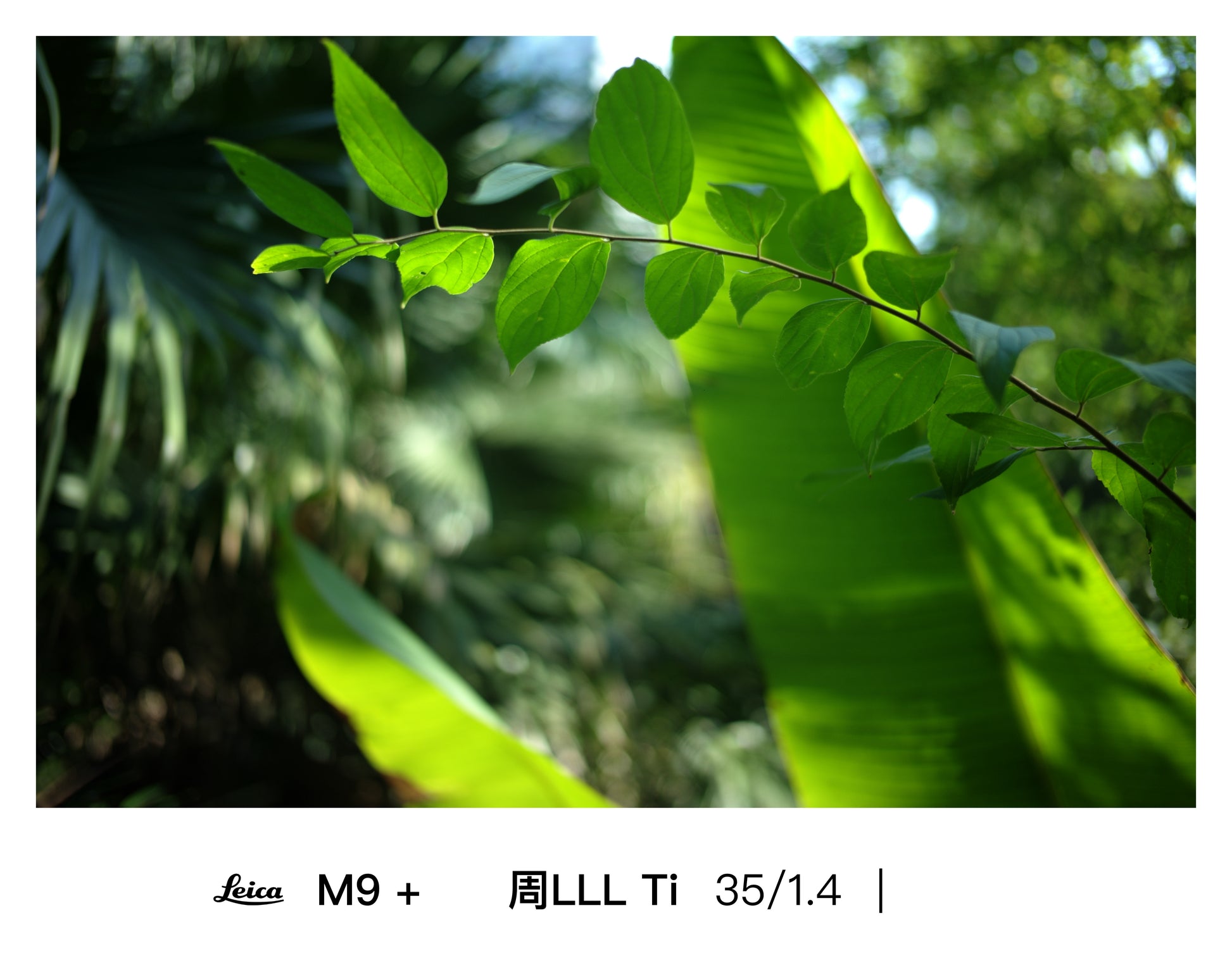 Light Lens Lab 35mm f/1.4 Aspherical  Light Lens Lab 11873 lens  35mm f/1.4 Aspherical Leica M mount, Light Lens Lab 35mm f/1.4 lens preorder  Light Lens Lab 35mm f/1.4 release date  Best 35mm lens for Leica M cameras  35mm f/1.4 aspherical optical design  Double aspherical 35mm lens, Light Lens Lab lenses  Light Lens Lab official site  Light Lens Lab optics  Light Lens Lab Leica M lenses  Light Lens Lab camera lenses, M-mount lenses  Rangefinder camera lenses  Leica M compatible lenses  Vintage-style M mou