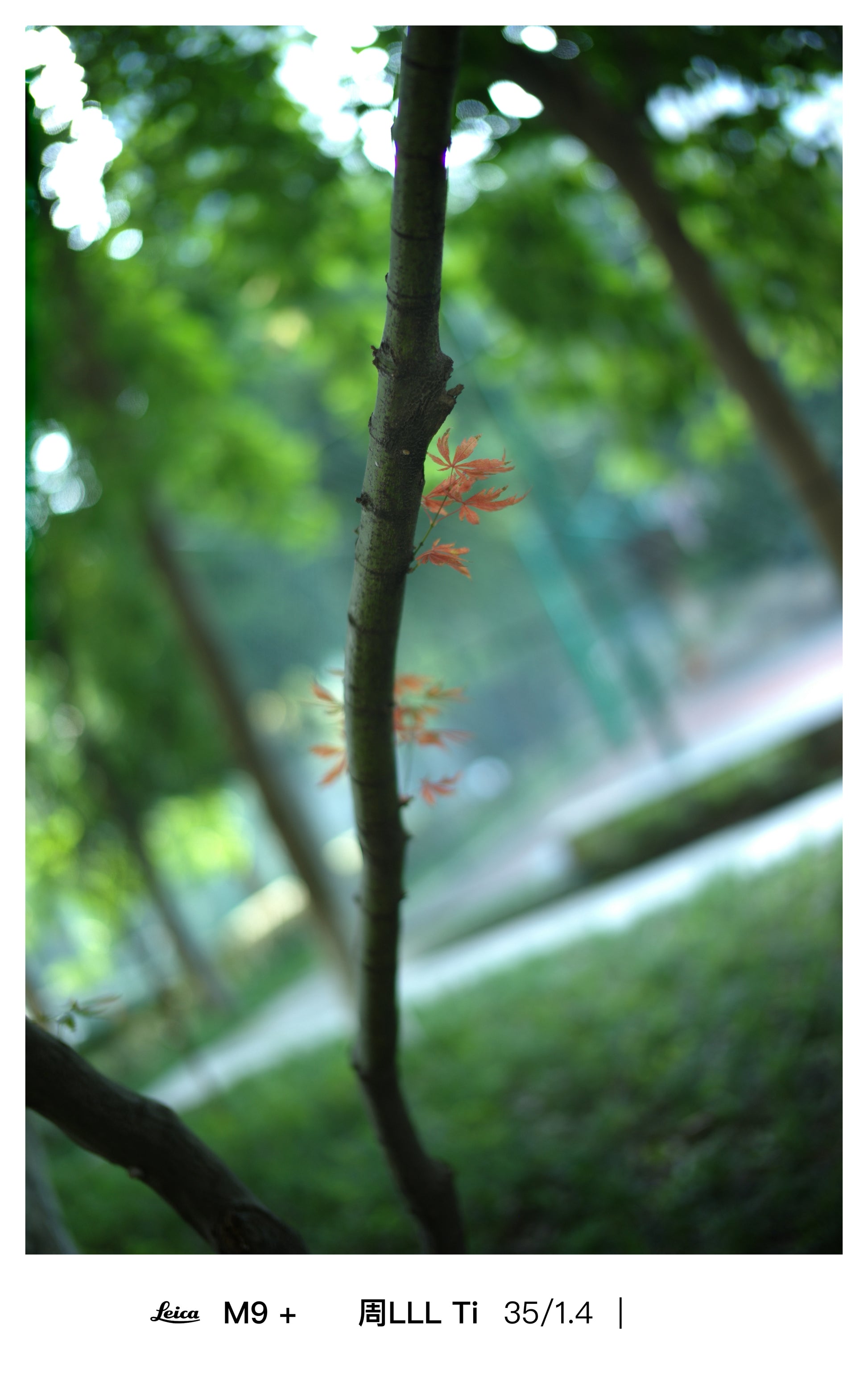 Light Lens Lab 35mm f/1.4 Aspherical  Light Lens Lab 11873 lens  35mm f/1.4 Aspherical Leica M mount, Light Lens Lab 35mm f/1.4 lens preorder  Light Lens Lab 35mm f/1.4 release date  Best 35mm lens for Leica M cameras  35mm f/1.4 aspherical optical design  Double aspherical 35mm lens, Light Lens Lab lenses  Light Lens Lab official site  Light Lens Lab optics  Light Lens Lab Leica M lenses  Light Lens Lab camera lenses, M-mount lenses  Rangefinder camera lenses  Leica M compatible lenses  Vintage-style M mou