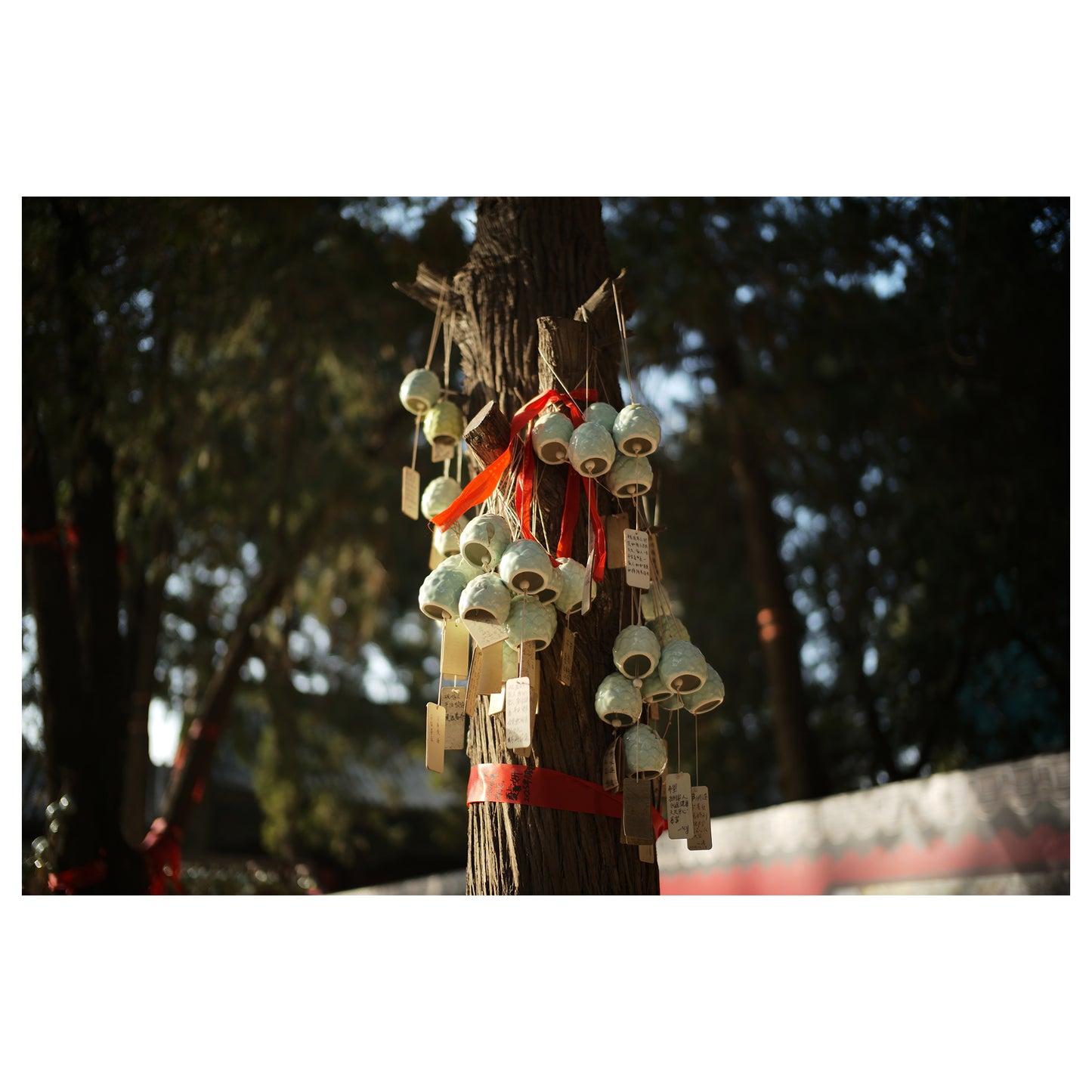 Light Lens Lab 35mm f/1.4 Aspherical  Light Lens Lab 11873 lens  35mm f/1.4 Aspherical Leica M mount, Light Lens Lab 35mm f/1.4 lens preorder  Light Lens Lab 35mm f/1.4 release date  Best 35mm lens for Leica M cameras  35mm f/1.4 aspherical optical design  Double aspherical 35mm lens, Light Lens Lab lenses  Light Lens Lab official site  Light Lens Lab optics  Light Lens Lab Leica M lenses  Light Lens Lab camera lenses, M-mount lenses  Rangefinder camera lenses  Leica M compatible lenses  Vintage-style M mou