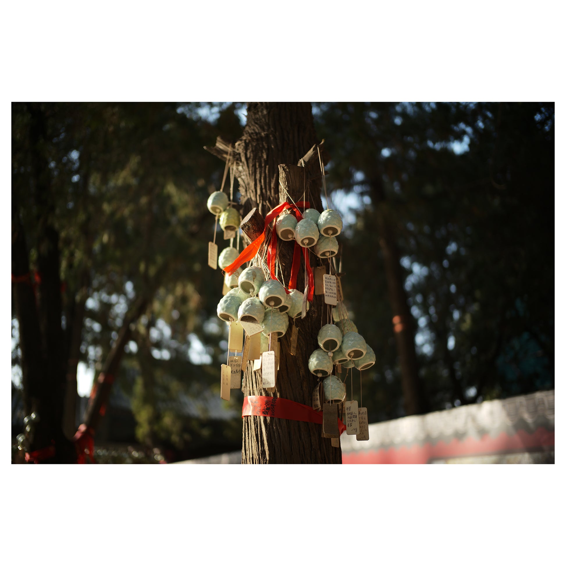 Light Lens Lab 35mm f/1.4 Aspherical  Light Lens Lab 11873 lens  35mm f/1.4 Aspherical Leica M mount, Light Lens Lab 35mm f/1.4 lens preorder  Light Lens Lab 35mm f/1.4 release date  Best 35mm lens for Leica M cameras  35mm f/1.4 aspherical optical design  Double aspherical 35mm lens, Light Lens Lab lenses  Light Lens Lab official site  Light Lens Lab optics  Light Lens Lab Leica M lenses  Light Lens Lab camera lenses, M-mount lenses  Rangefinder camera lenses  Leica M compatible lenses  Vintage-style M mou