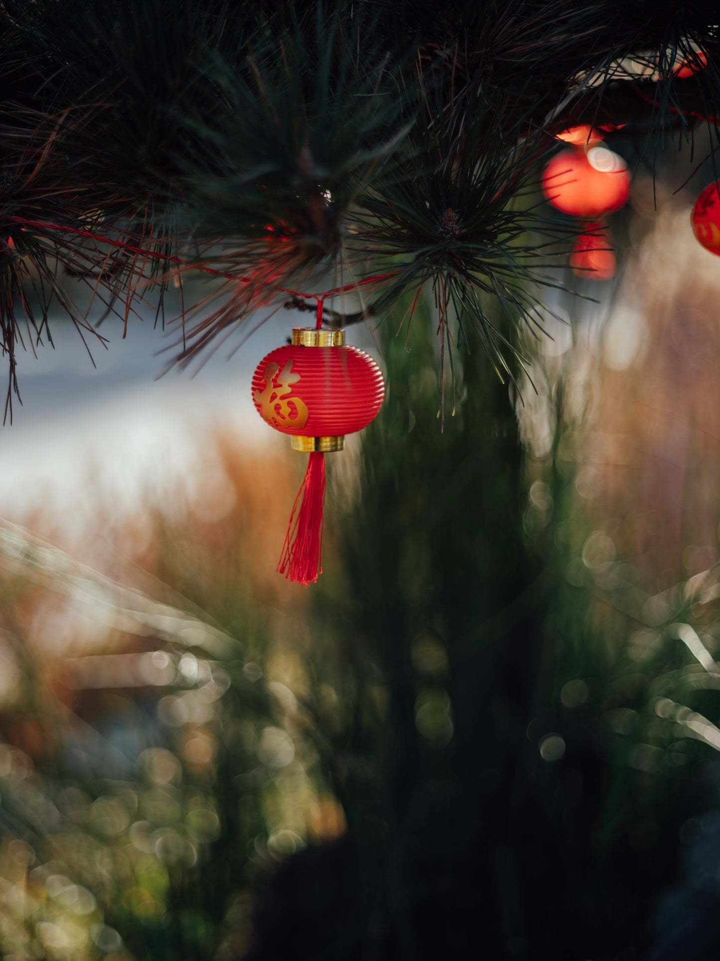 Light Lens Lab 75mm, Light Lens Lab 75mm f/2, Light Lens Lab SPII, Light Lens Lab 75mm f/2 SPII, Light Lens Lab 75 SPII. Light Lens Lab 75mm, 75mm lens, 75mm Leica, Leica M, Leica Camera, Leica lenses, Leica 75mm lenses.