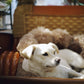Light Lens Lab 50mm f/1.9
Rigid Super Six lens
Light Lens Lab Super Six
50mm f/1.9 Leica M mount lens
Leica M mount 50mm lens
50mm f1.9 lens Leica M
vintage 50mm lens Leica M
manual focus 50mm lens M mount
film look
cinematic look
vintage rendering
character lens
classic look
analog feel digital
Leica style lens
retro optics
Leica M mount 50mm lens
vintage lens rendering
film look lens
Light Lens Lab 50mm f/1.9
Leica 50mm alternative
double Gauss 50mm lens
vintage lens rendering
classic lens bokeh
film look